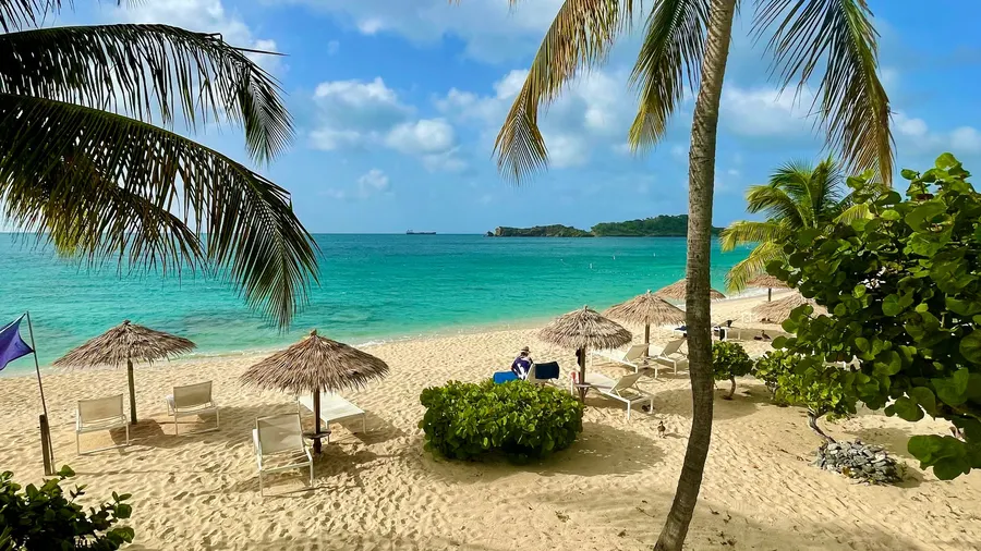 Palmeras y aguas turquesas en una playa de arena en Antigua
