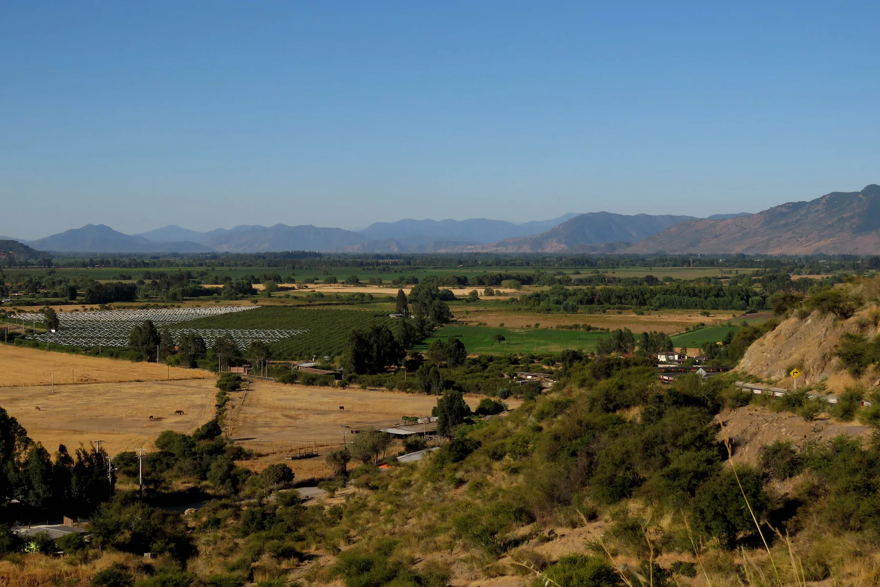 Viñedos en el Valle de Colchagua, Región de O'Higgins