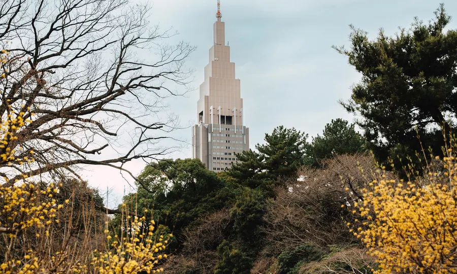 Shinjuku Gyoen en Tokio con una torre al fondo enmarcada por el follaje otoñal