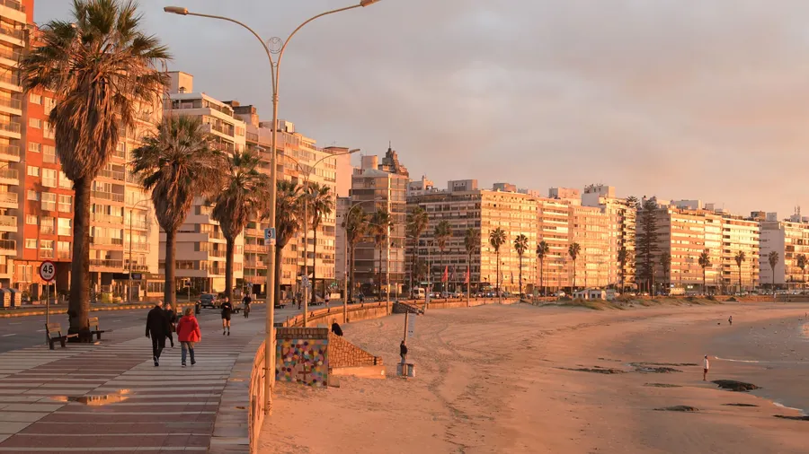 Rambla de Montevideo al atardecer, con palmeras y vista al Río de la Plata