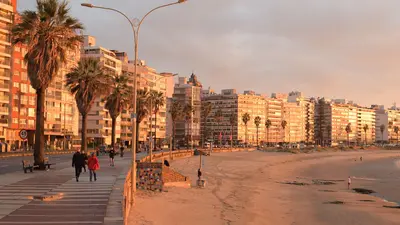 Rambla de Montevideo al atardecer, con palmeras y vista al Río de la Plata