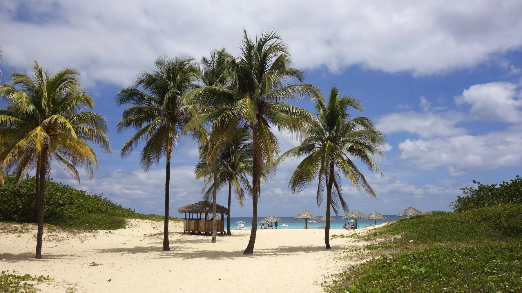 Playa del Este en Cuba con palmeras, arena clara y cielo azul
