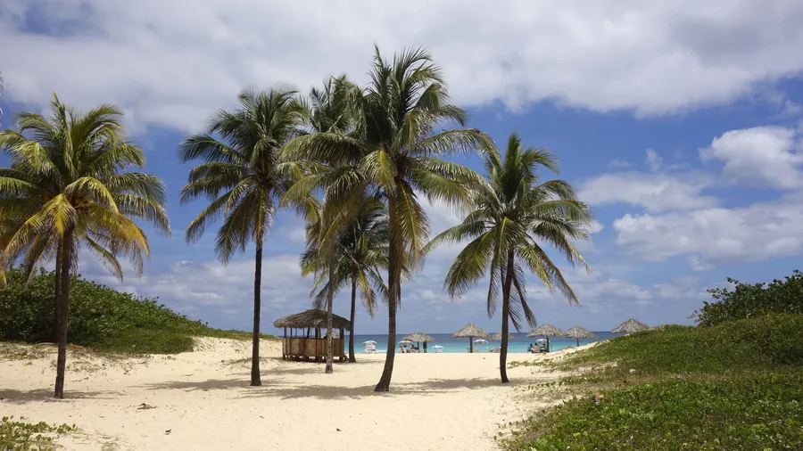 Playa del Este en Cuba con palmeras, arena clara y cielo azul