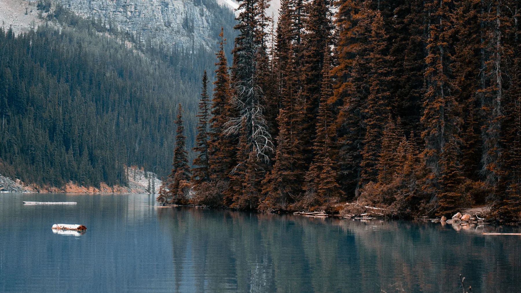 Lago tranquilo rodeado de pinos altos y montañas en Alberta, Canadá