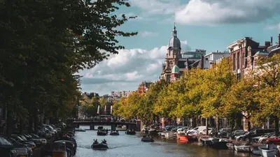 Canales de Ámsterdam bordeados por árboles y edificios de arquitectura clásica