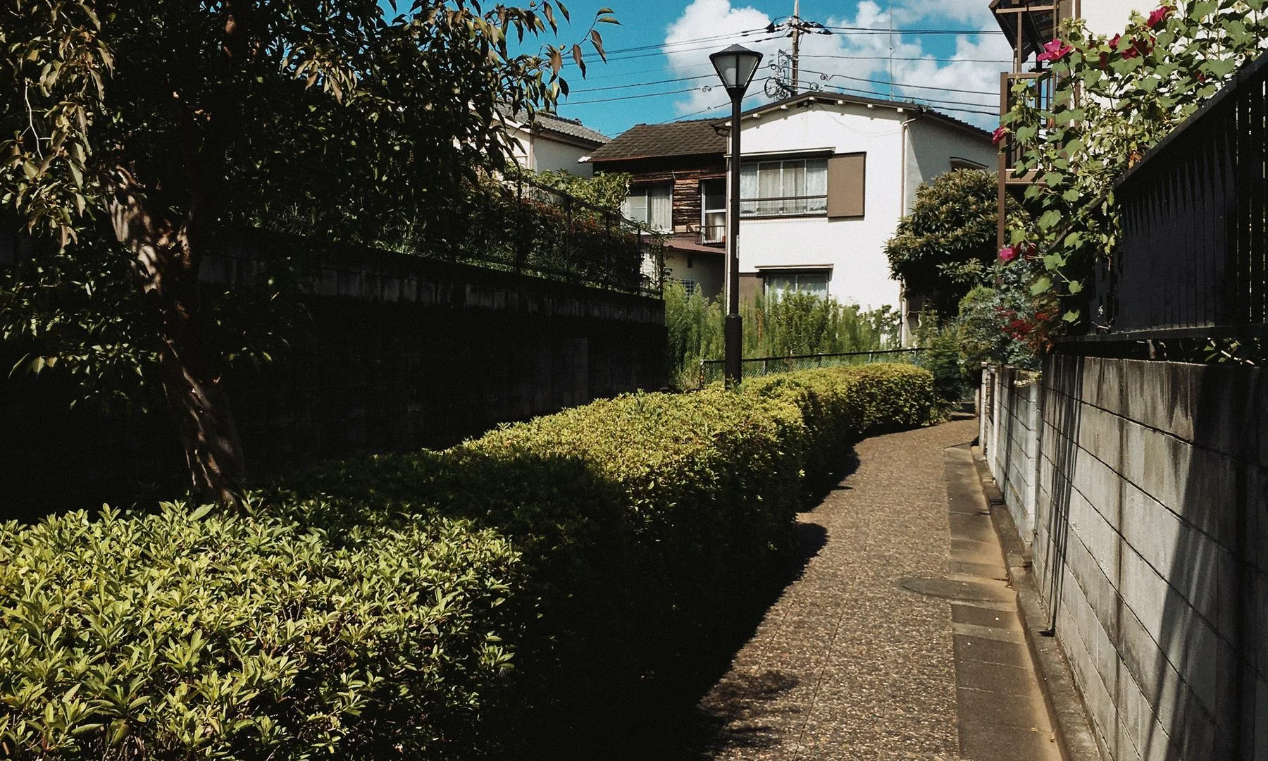 Calle urbana tranquila con vegetación abundante y edificios en Tokio