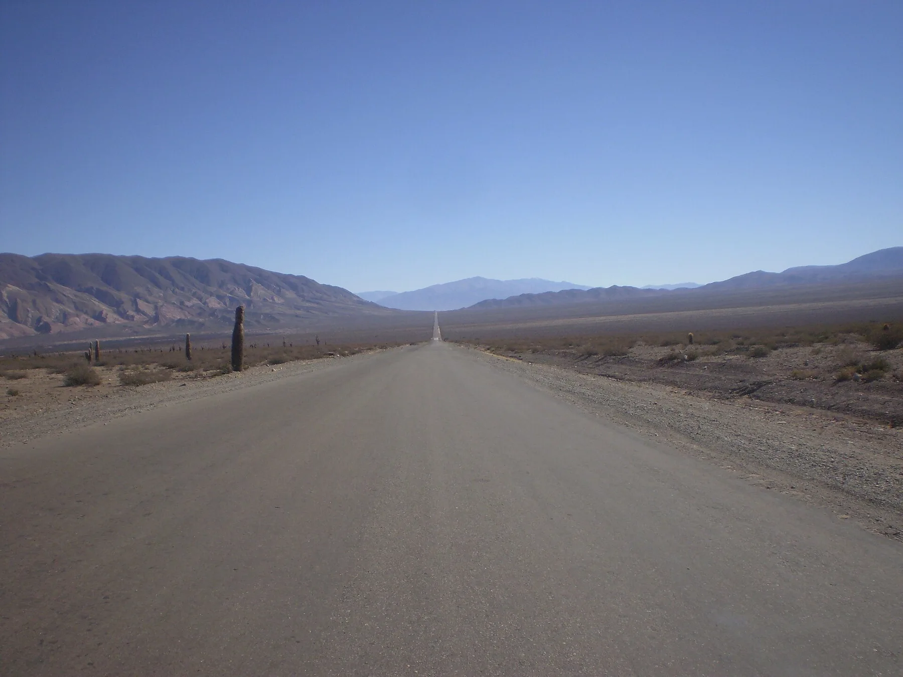 Recta del Tin Tin, en el Parque Nacional Los Cardones, Salta: tramo de 16 km sobre un antiguo camino inca