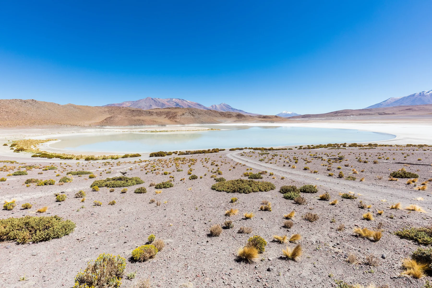 Laguna Honda (in English "Deep Lagoon") is a salt lake located at 4,114 metres (13,497 ft) over the sea level in the bolivian Potosí Department , close to the border with Chile.