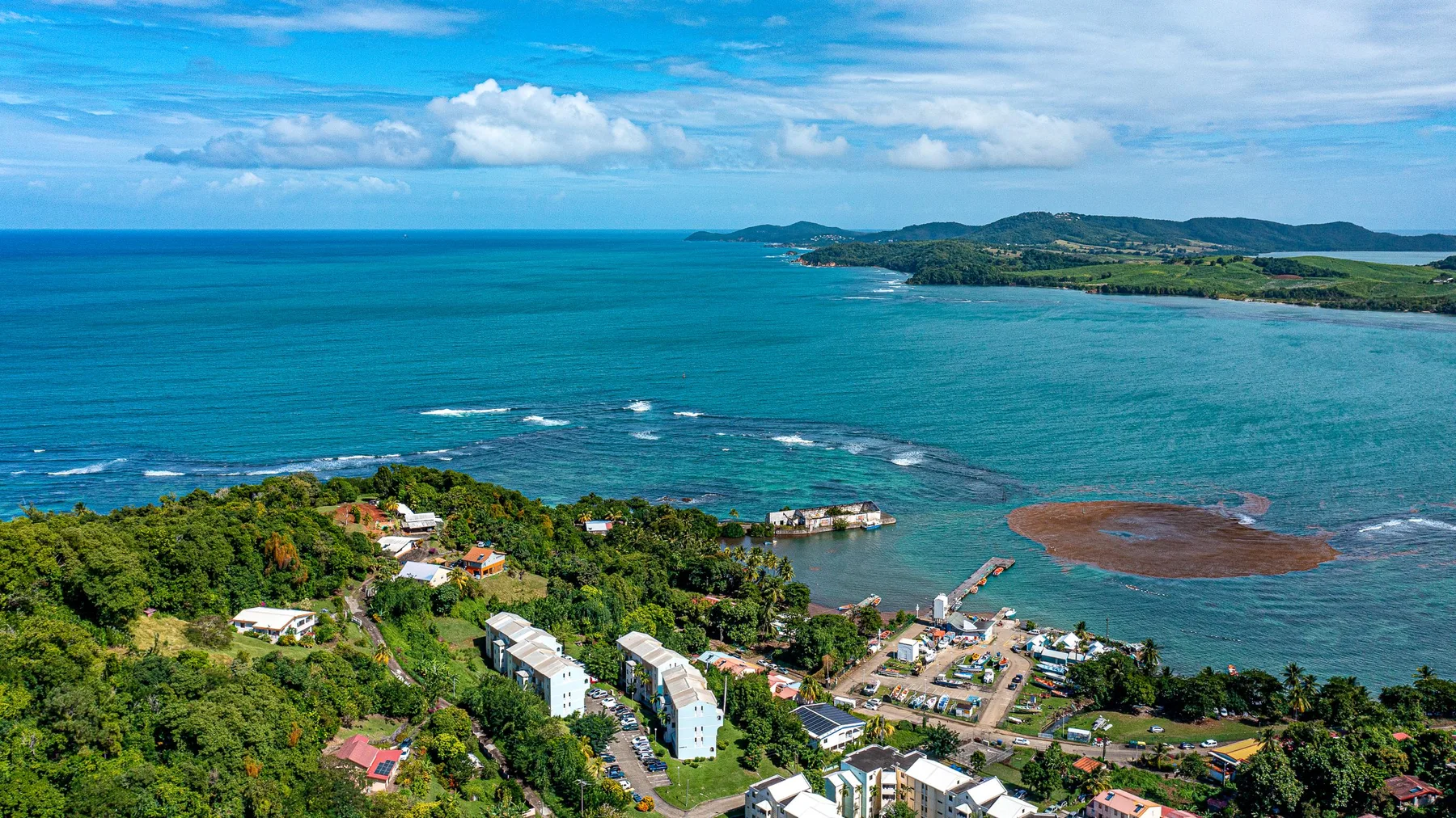 Vista aérea de una localidad costera de Dominica, rodeada de vegetación exuberante y mar azul intenso