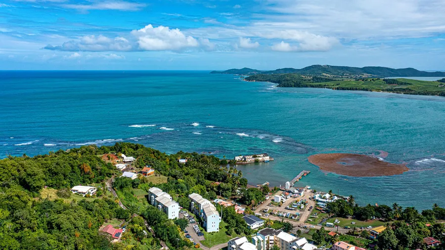 Vista aérea de una localidad costera de Dominica, rodeada de vegetación exuberante y mar azul intenso
