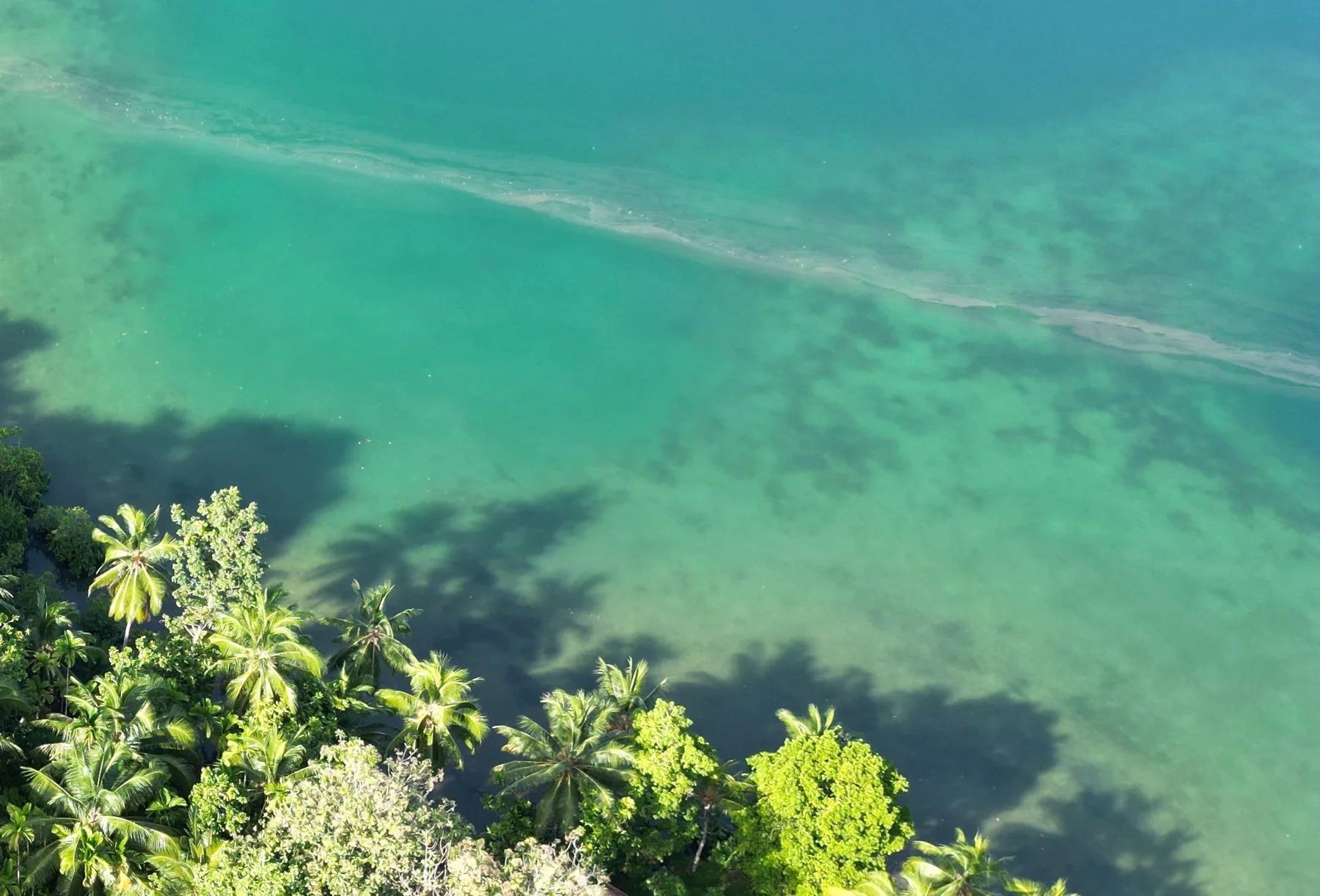 Vista aérea de árboles verdes y aguas costeras claras en las Islas Salomón