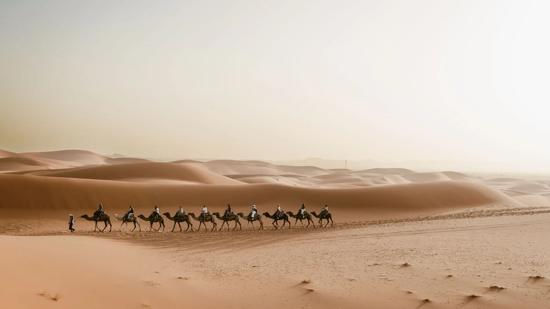 Caravana de camellos cruzando las dunas de Merzouga, en el desierto del Sahara, Marruecos