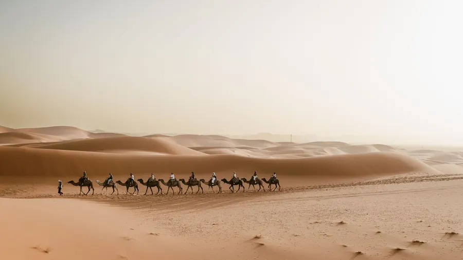 Caravana de camellos cruzando las dunas de Merzouga, en el desierto del Sahara, Marruecos