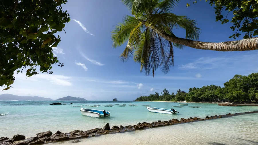 Playa tropical en Seychelles con aguas claras, barcos y palmeras frondosas