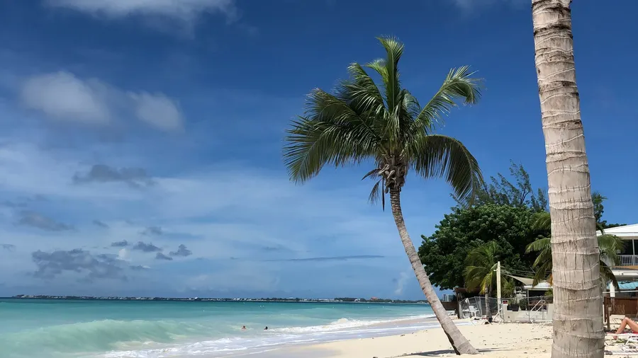 Playa tropical de las Islas Caimán, con palmeras y agua turquesa