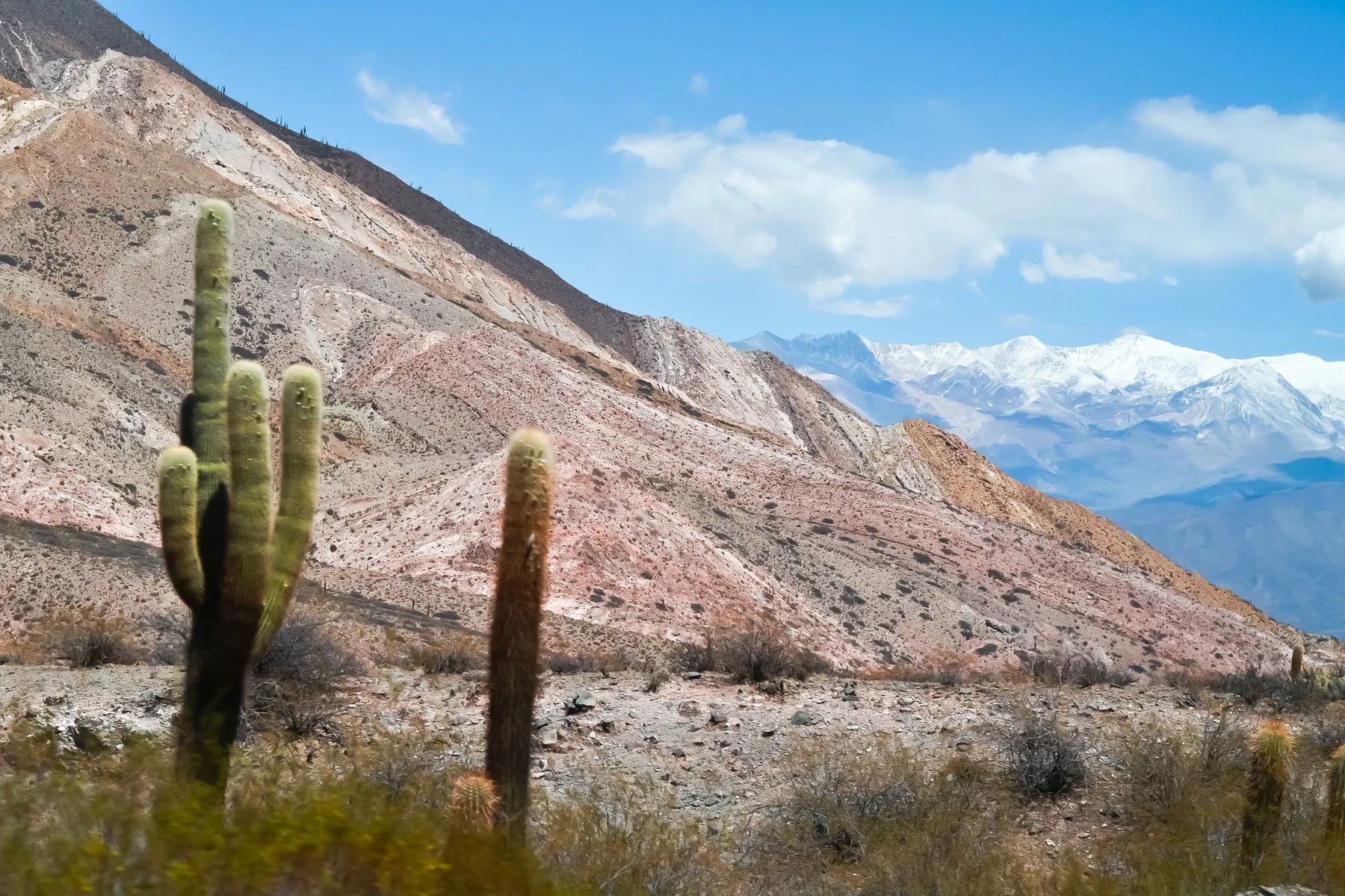 Montañas áridas con cumbres nevadas en el camino a Cachi, en los Valles Calchaquíes