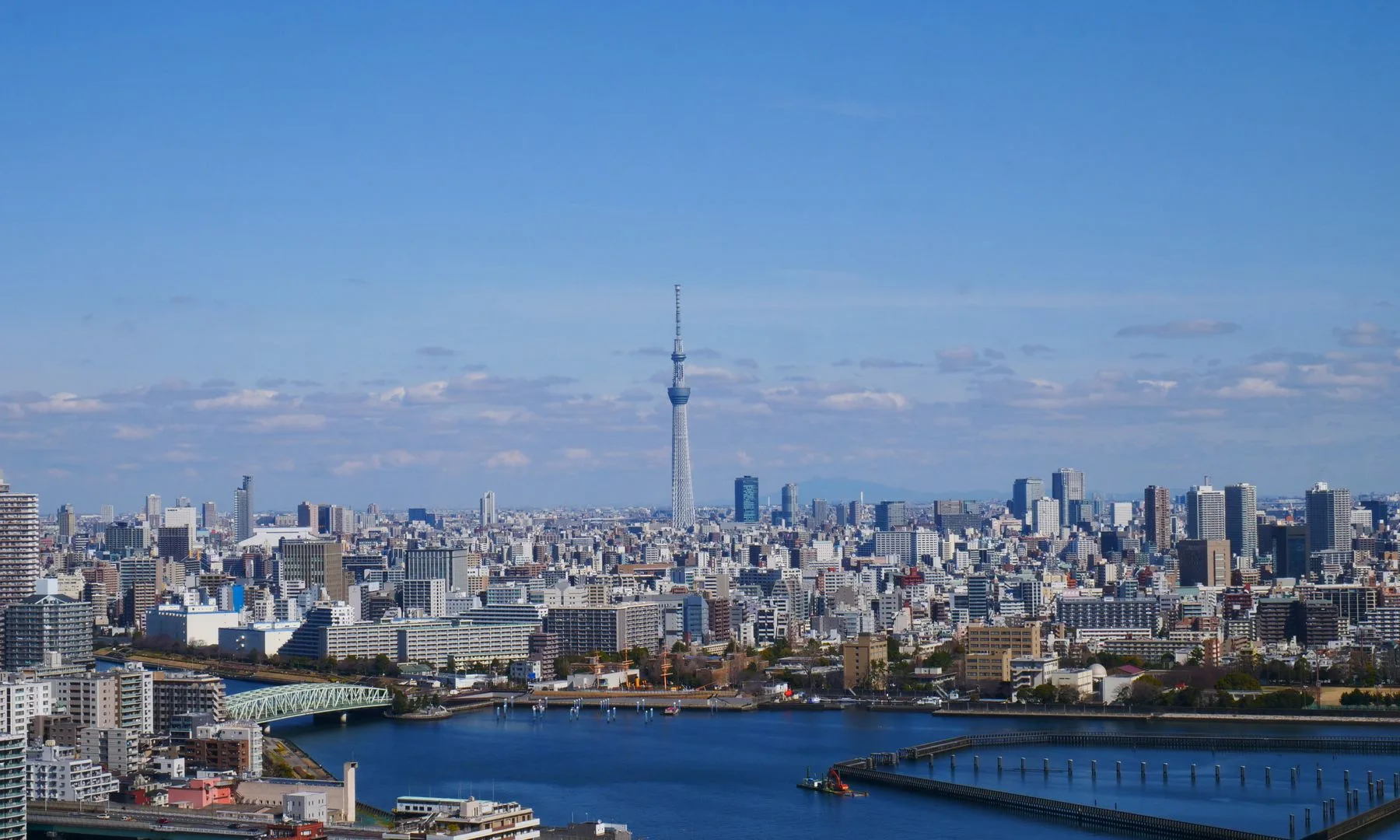 Vista panorámica del horizonte de Tokio con la Tokyo Skytree destacada