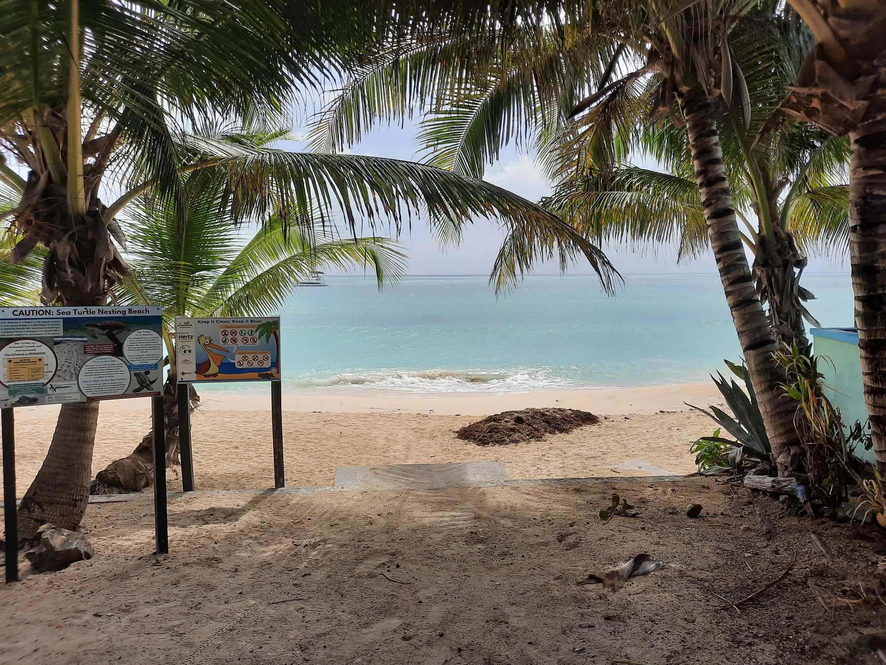 Playa de anidación de tortugas marinas en Sint Maarten, Caribe neerlandés
