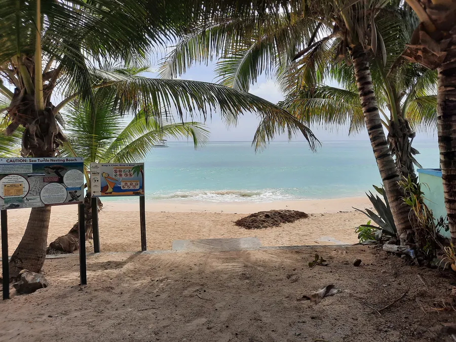 Playa de anidación de tortugas marinas en Sint Maarten, Caribe neerlandés