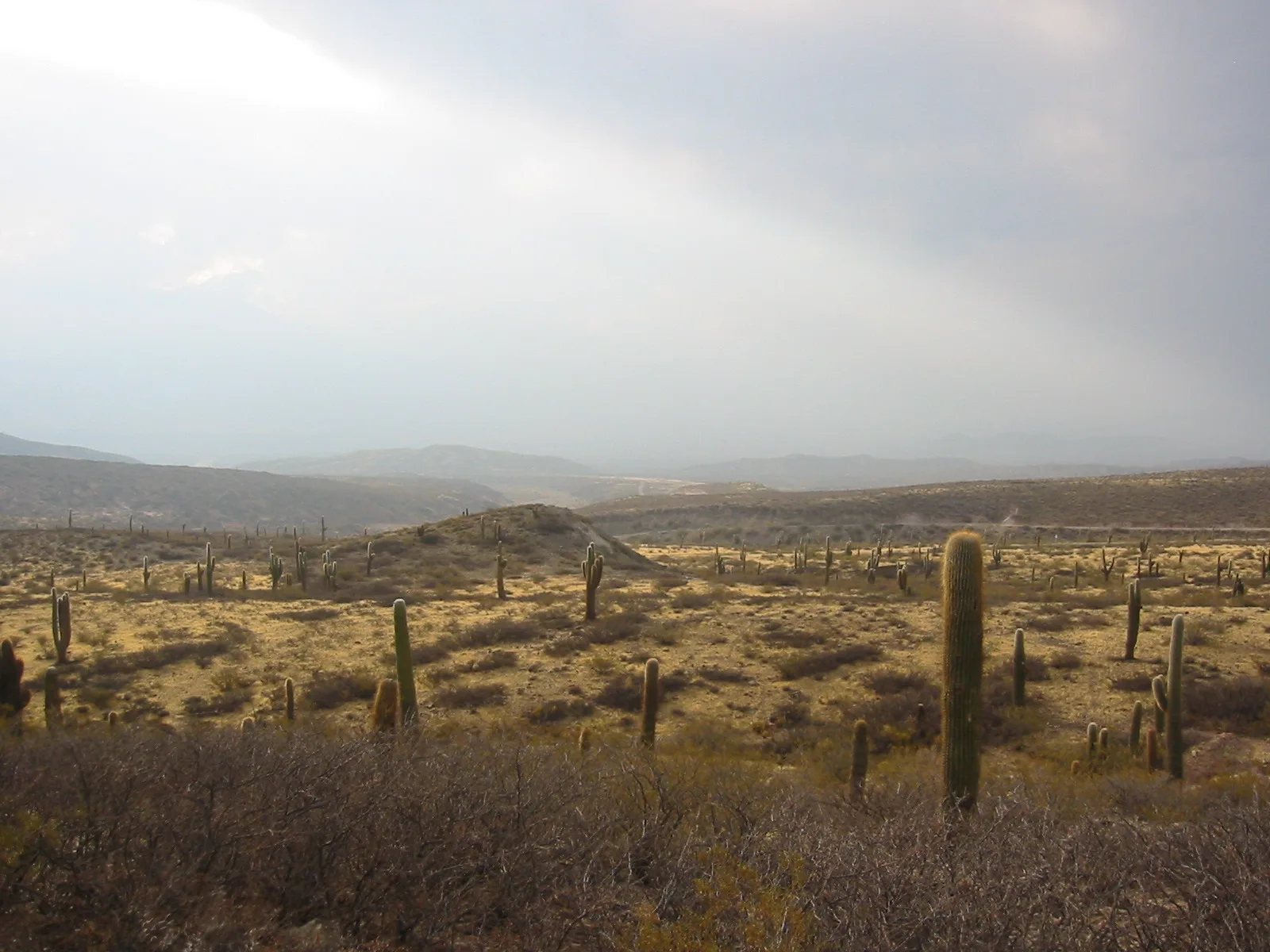 Ruta provincial 33 hacia Cachi, provincia de Salta, Argentina