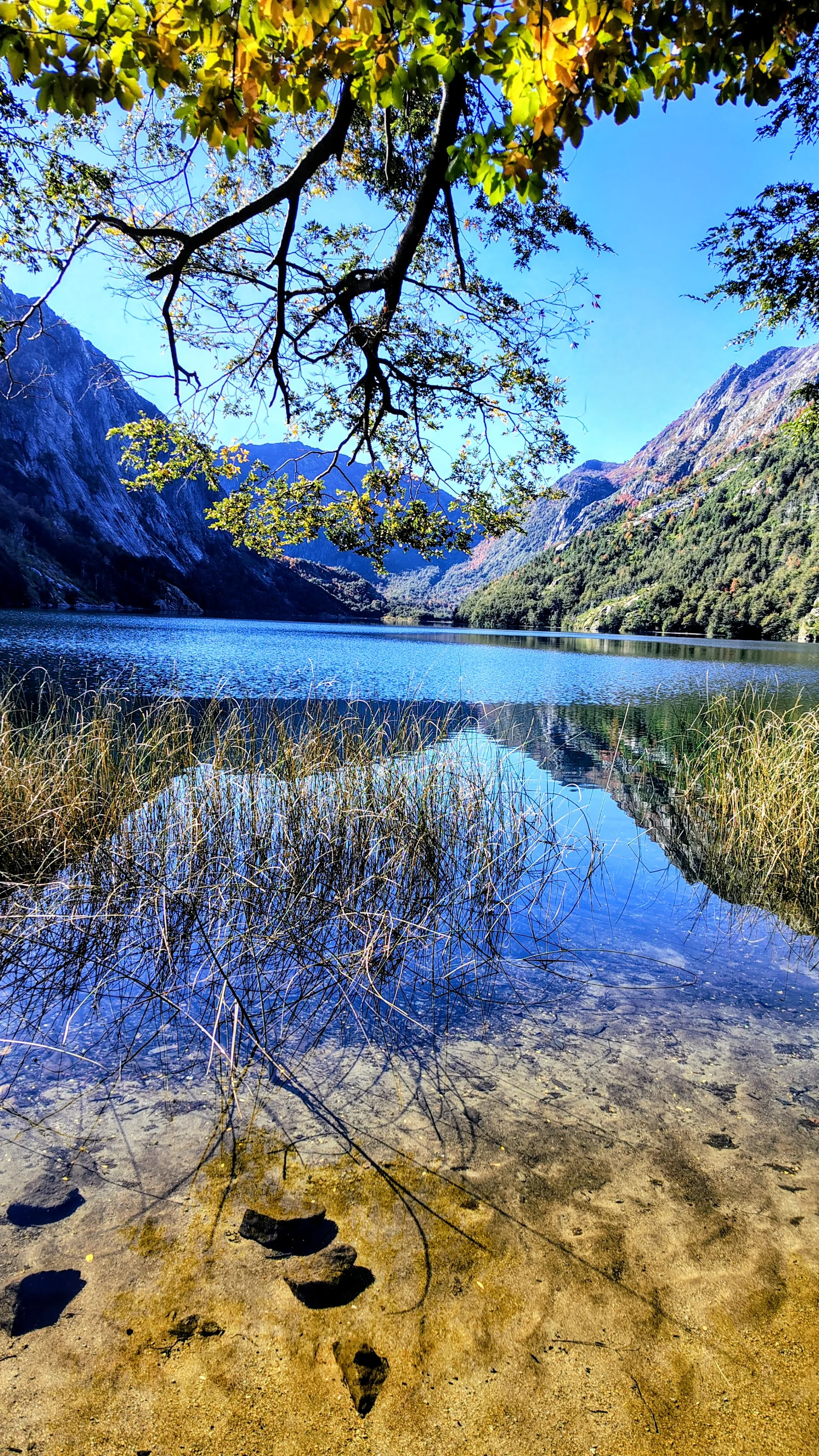 Aguas cristalinas de la Laguna Cañicura, en la Región del Biobío, rodeadas de bosque nativo y vegetación cordillerana