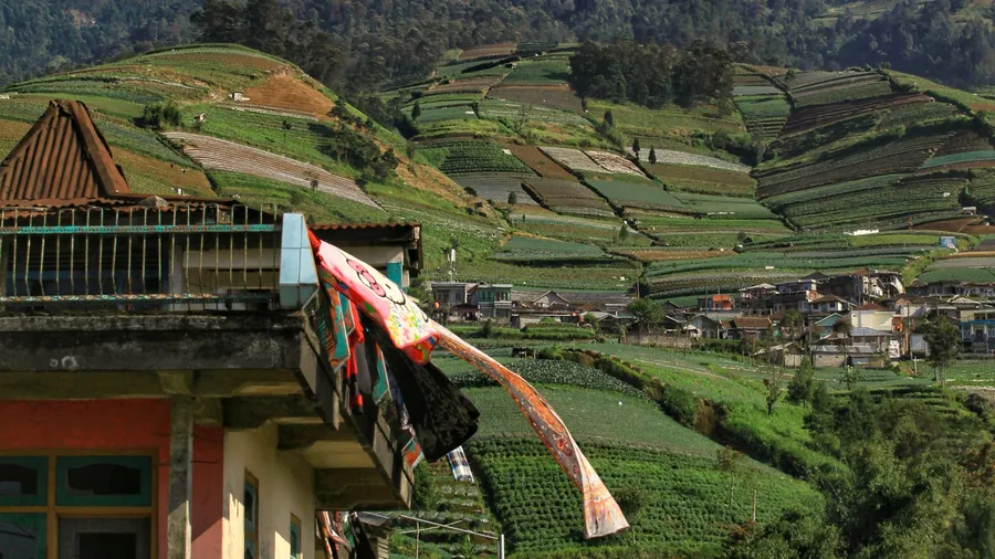 Terrazas de cultivo con el monte Sumbing al fondo en Magelang, Java Central, Indonesia