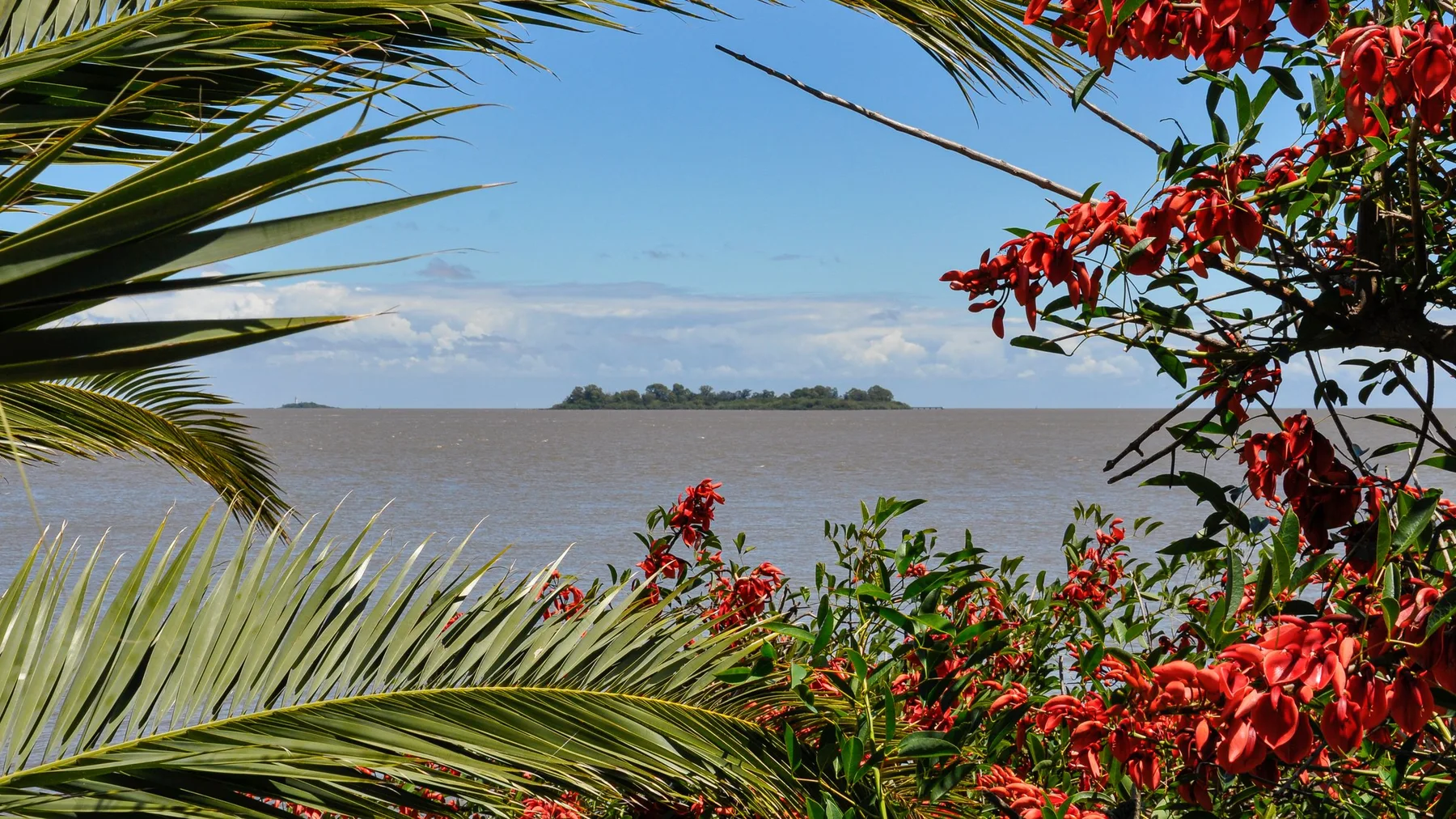 Vista serena del paisaje costero de Colonia Carlos Pellegrini enmarcada por hojas de palmera y flores rojas