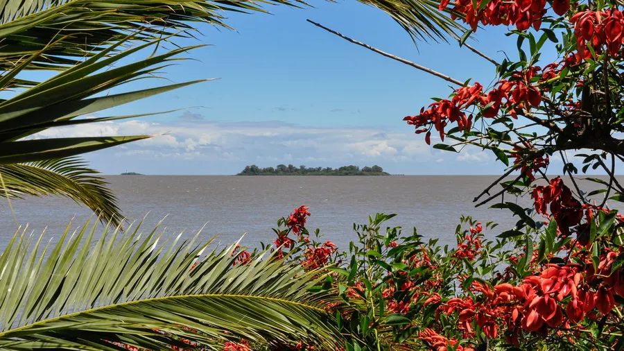 Vista serena del paisaje costero de Colonia Carlos Pellegrini enmarcada por hojas de palmera y flores rojas