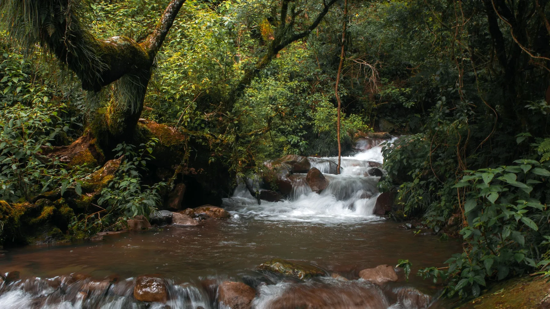 Cascada rodeada de vegetación exuberante en San Lorenzo, Salta