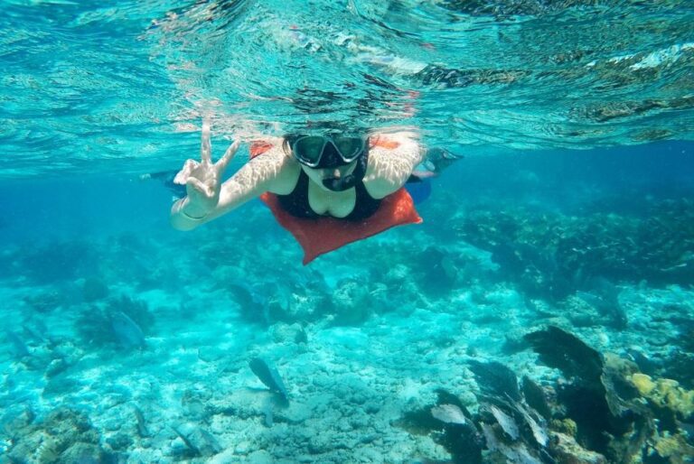 Caye Caulker: 7-Stop Snorkeling en la barrera de coral de Belice