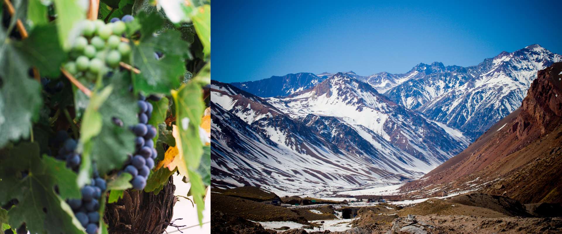 Qué hacer en Mendoza: 7 experiencias únicas que no te podés perder